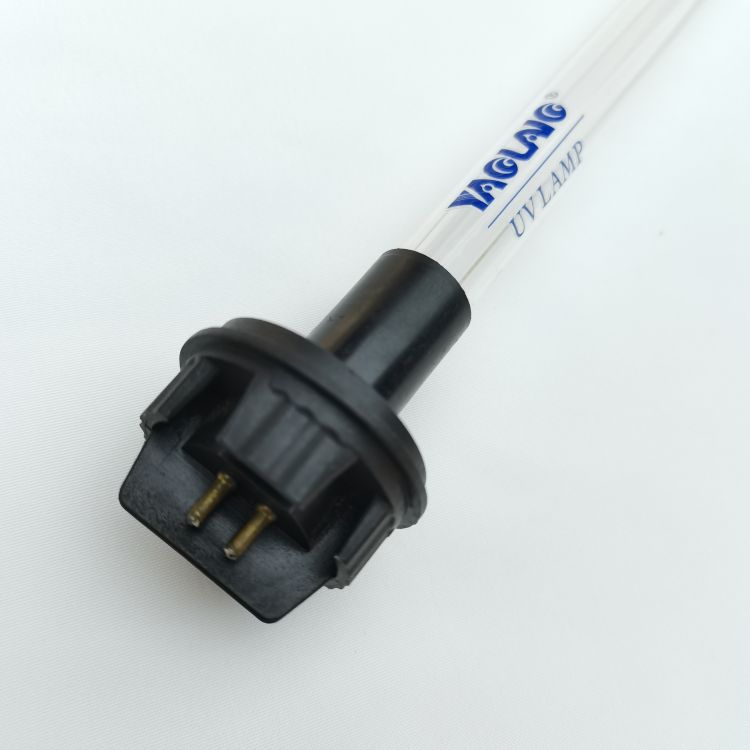 滻ߵƹ 602805
