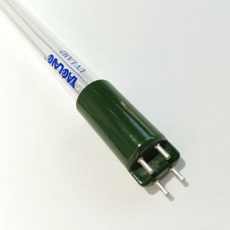 滻ߵƹ  240W 794447 OGN 